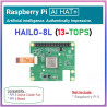 OFFICIAL Raspberry Pi AI HAT Hailo-8L (13-TOPS) Artificial Intelligence Module for Raspberry Pi 5